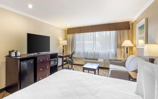Double Apartment