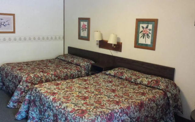 Standard Quadruple room with pool view