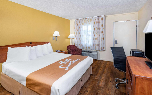 Standard Double room