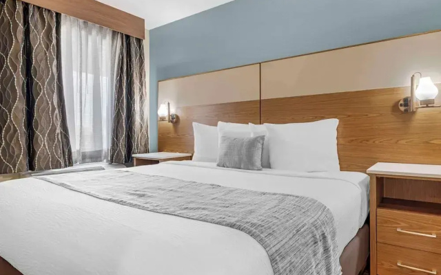 Pet Friendly Suite