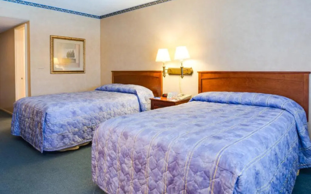 Standard Quadruple room with pool view