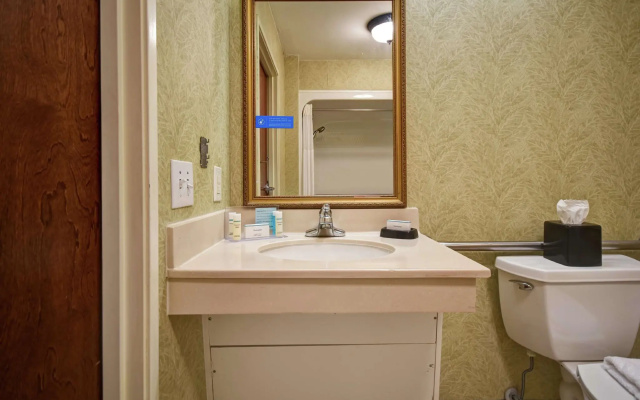 Accessible Double room
