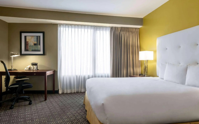 Double Junior Suite