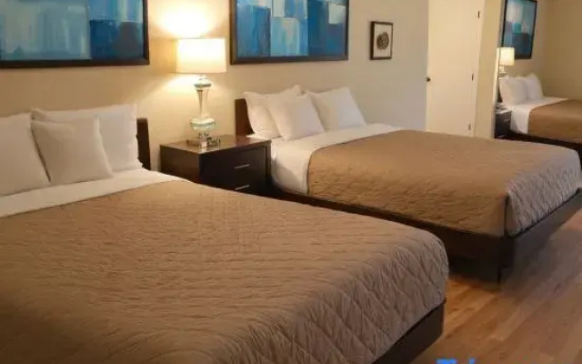 Standard Suite