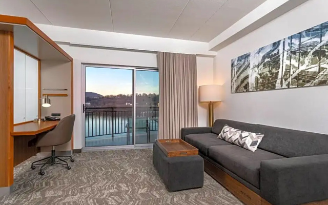 Studio with balcony and with river view