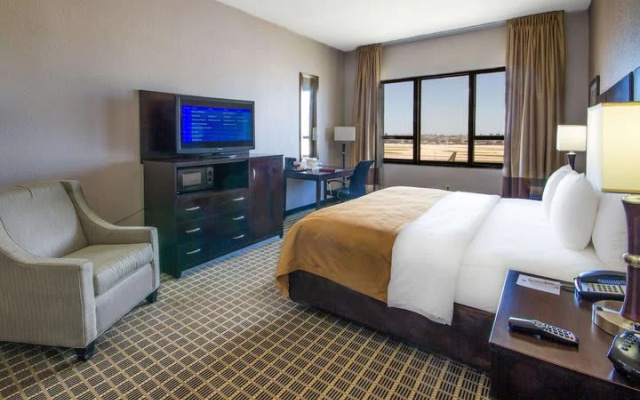1 Bedroom Suite