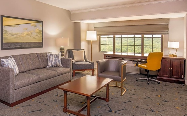 Executive Double Club Suite