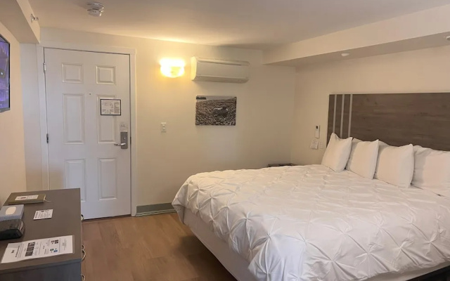 1 Bedroom Premium Suite