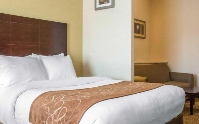 1 Bedroom Suite