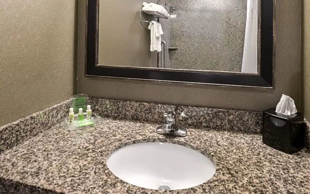 Standard Suite