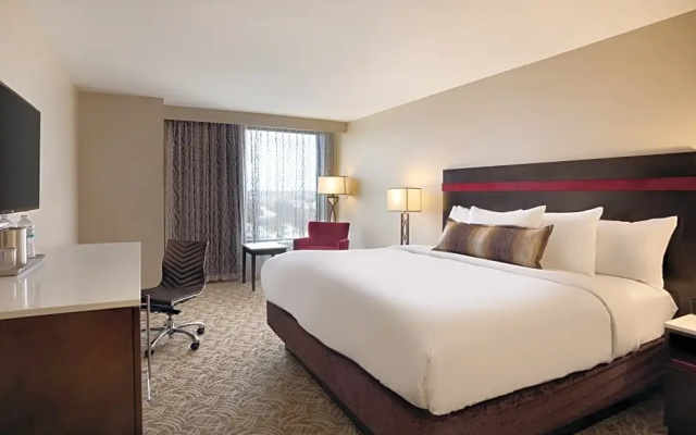 1 Bedroom Double Suite