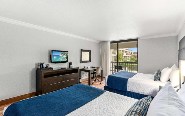 Standard Double room with view