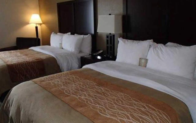 Quadruple Suite