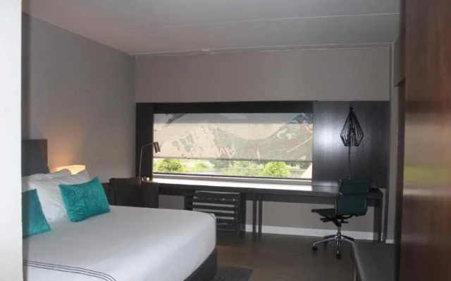 Standard Suite