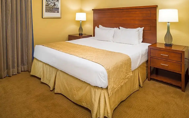 1 Bedroom Suite
