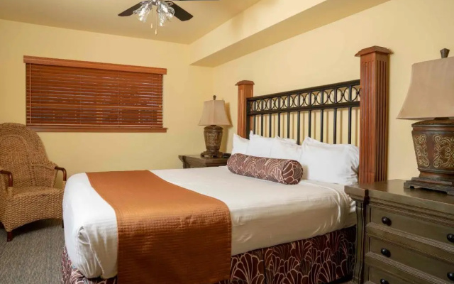 3 Bedrooms Apartment