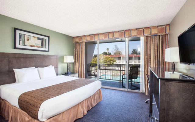 1 Bedroom Double Suite