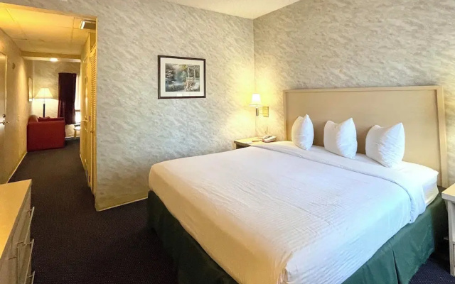Standard Suite