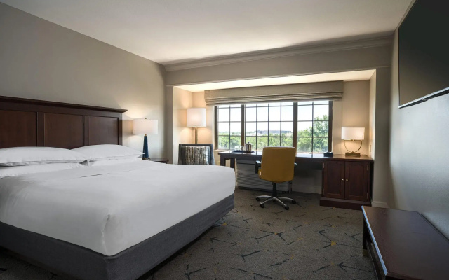 Standard Double Club room with garden view