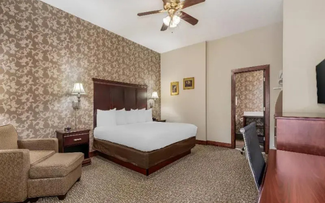 Standard Suite