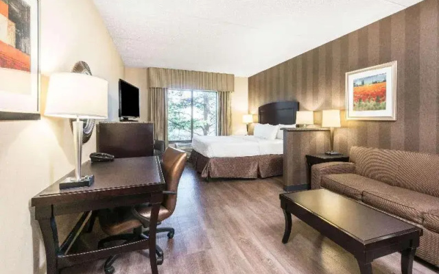 Double Suite