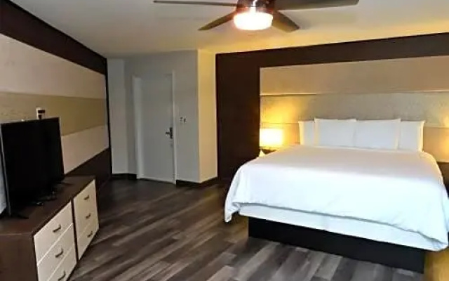 Junior Suite