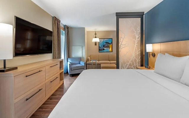 1 Bedroom Double Suite