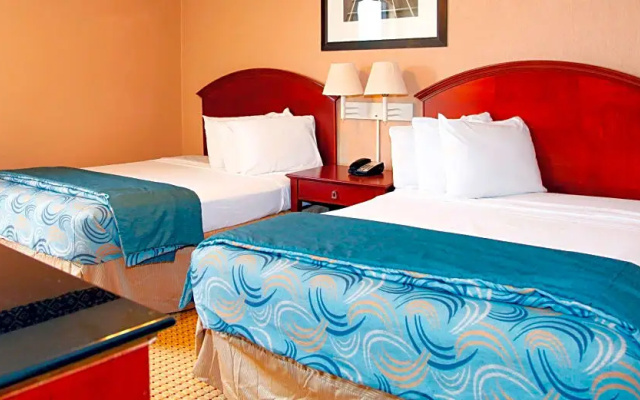 Standard Quadruple Suite