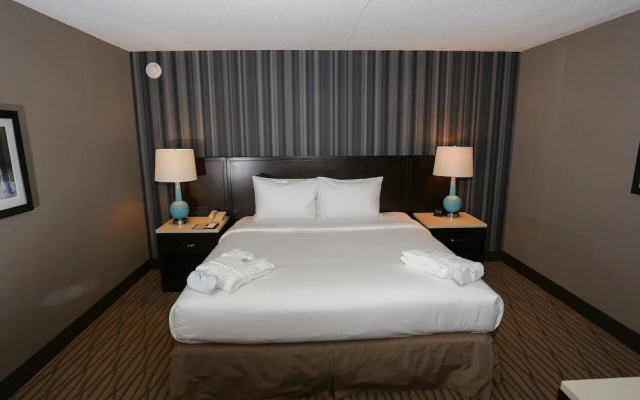 1 Bedroom Double Suite