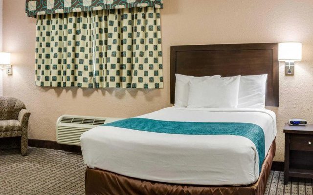 1 Bedroom Standard Double room