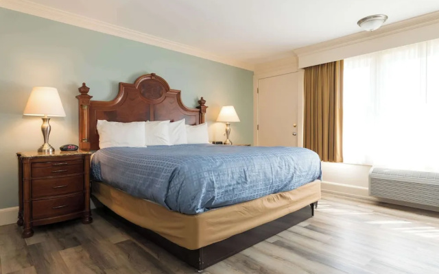 Standard room with balcony and with land view