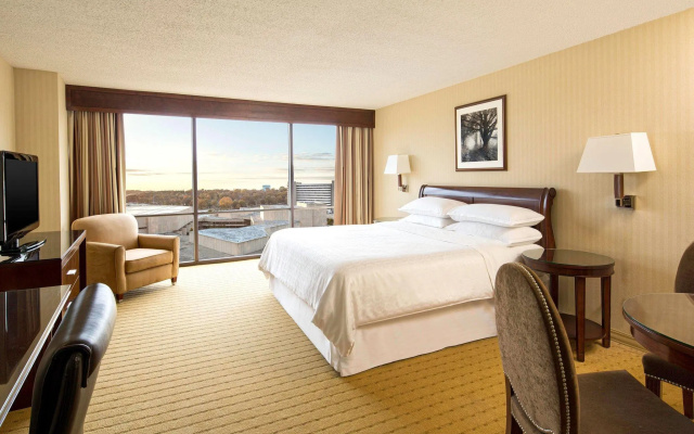 Standard Sextuple room
