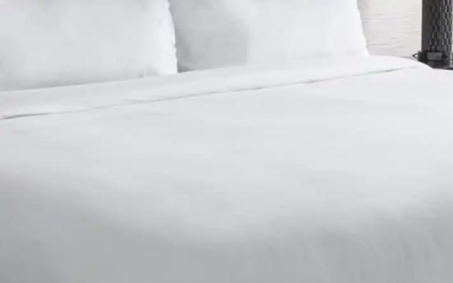 1 Bedroom Presidential Suite