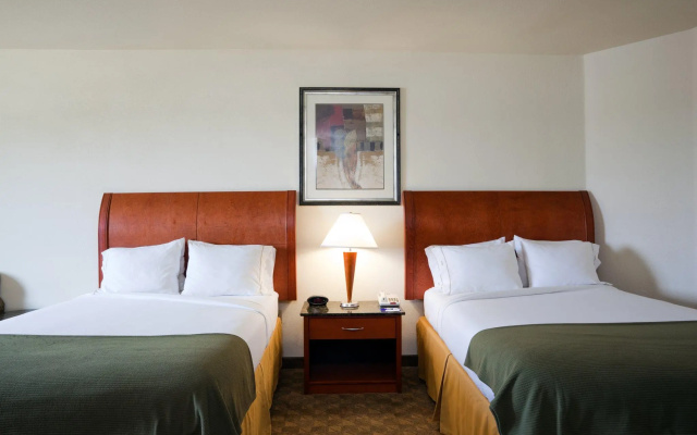 Executive Quadruple room
