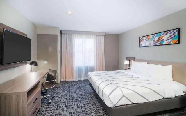 1 Bedroom Double Suite