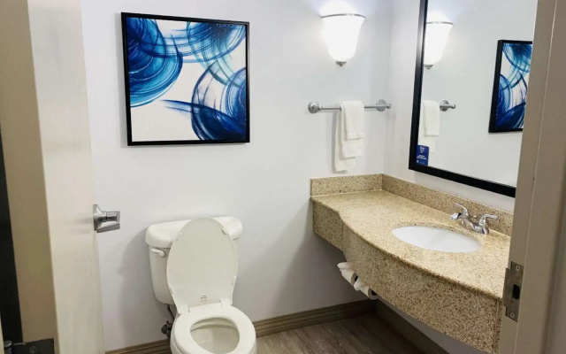 1 Bedroom Suite