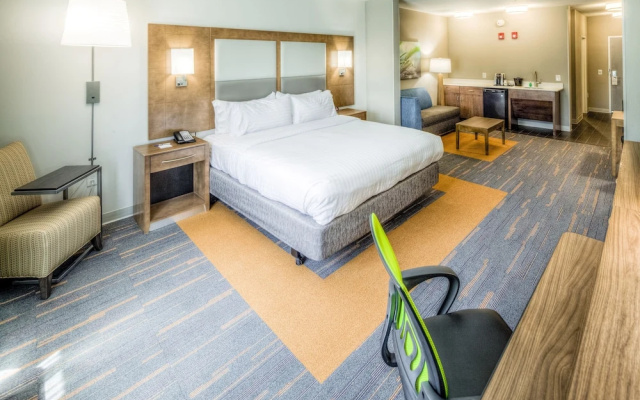 1 Bedroom Suite