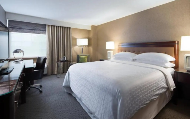 1 Bedroom Suite