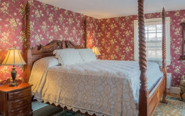 Standard Double room with balcony and with ocean view