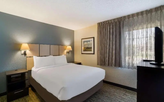 1 Bedroom Suite