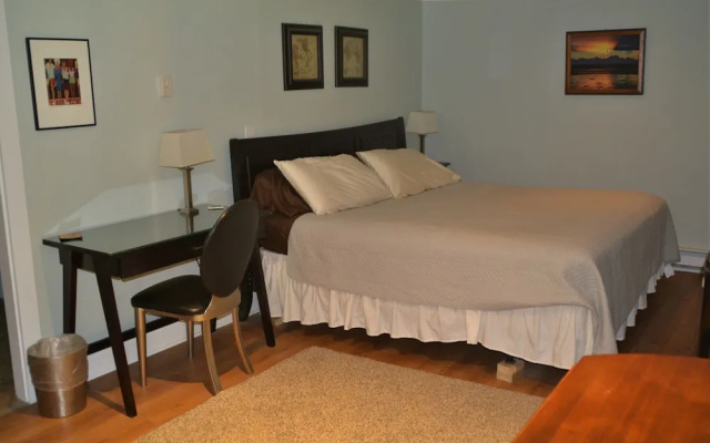 Standard Double Basement room