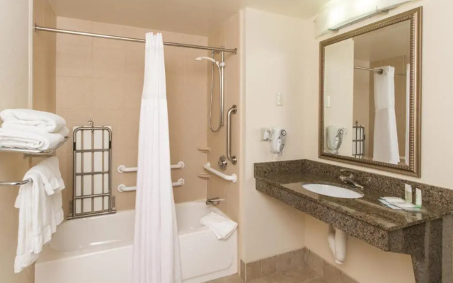 1 Bedroom Suite