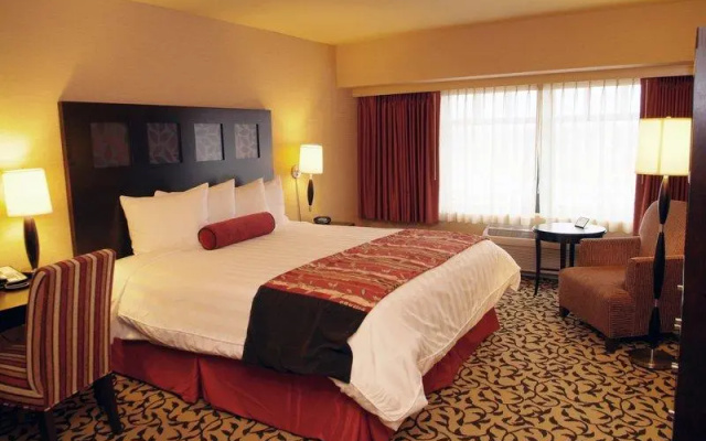 Luxury room