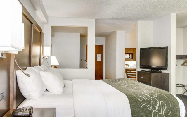 Double Suite