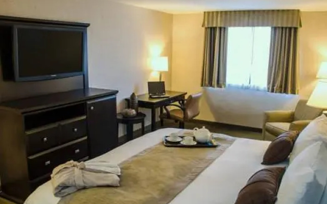 Deluxe room with ocean view