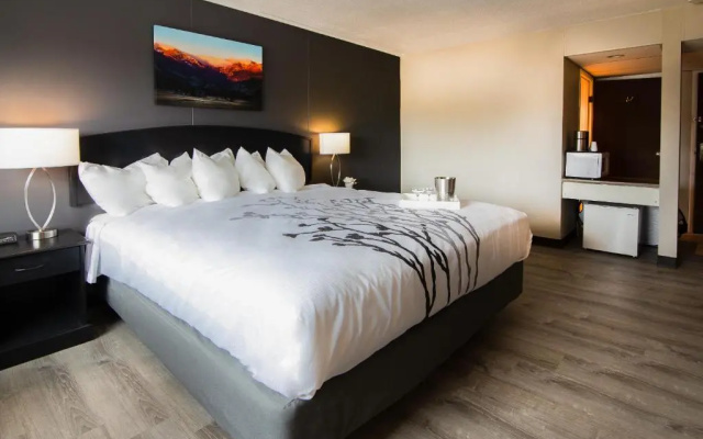 Standard room with balcony