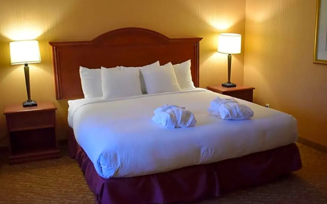 2-room Double Suite with garden view