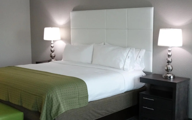 Standard Suite