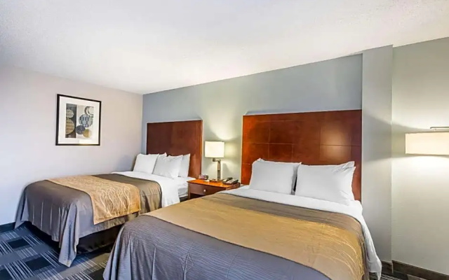 Superior Suite