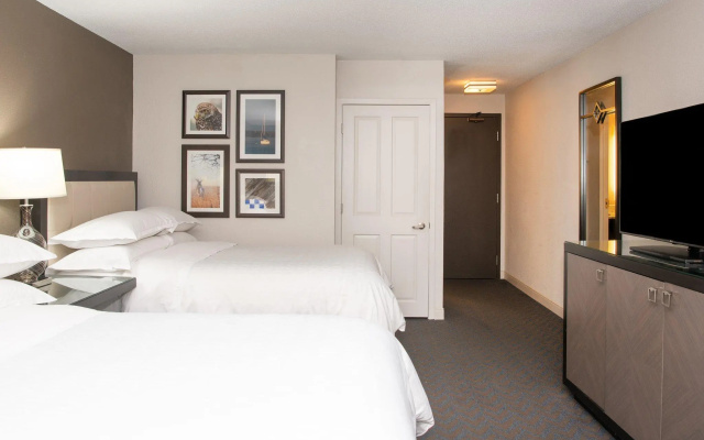 Premier Quadruple Club room